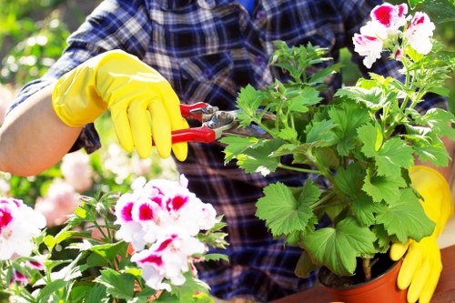 Gardener working on a small Hounslow courtyard garden