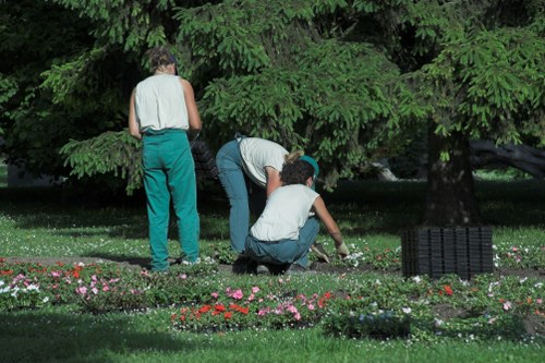 Pruning and trimming plants in a Hounslow garden