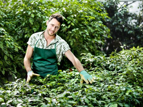 Technician demonstrating wheelchair-accessible garden tools
