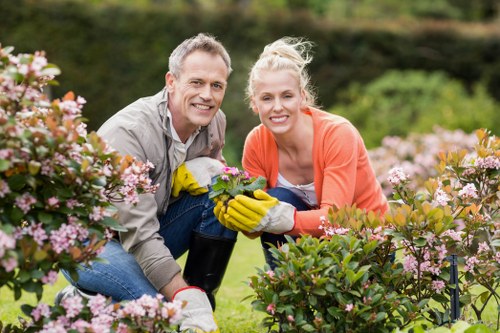 Garden clearance crew removing green waste in a terraced backyard