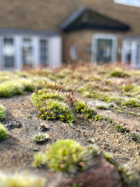 A red brick house with white-framed windows and a steeply pitched, tiled roof is surrounded by a neatly maintained garden. The garden features a lush green lawn bordered by a low hedge, with mature tr